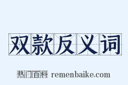 双款反义词是什么意思的图片